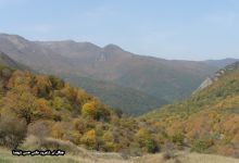 گزارش تصویری از فصل پاییز در جنگل ابر شاهرود